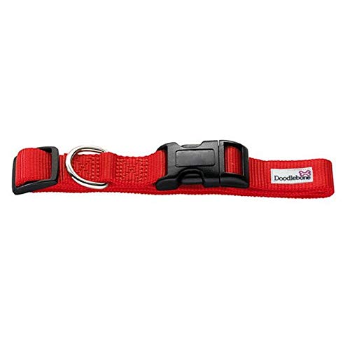 Doodlebone Bold Colour Dog Collar| Durable Long Lasting Adjustable Dog Collar in Red