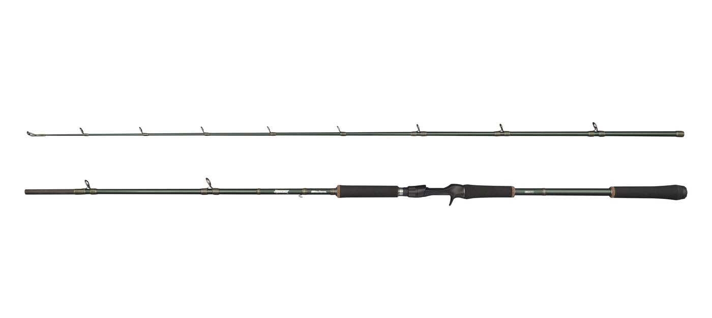 Abu Garcia Beast X Casting Rod, Freshwater Angler Fishing Pike Perch & Zander, Strong Leightweight & Versatile, Green, 2.44m Fast Ambidextrous Rod
