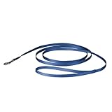 PetSafe Nylon Leash - Strong Dog Leash for Everyday Use - Secure & Simple Design for Reliable Control - Lightweight with Durable Hardware - 3/8 Inch - 6 Feet - Blue