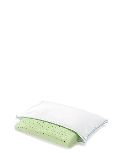 Brookstone BioSense Memory Foam Classic Pillow with Better Than Down
