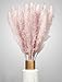 Farrell Brec Pampasgras getrocknet 30 Stück - extra langlebig und 70-75cm Lange Trockenblumen - Deko Wohnzimmer , Schlafzimmer, Badezimmer , Vase Trockenblumenstrauß , Boho Deko (Rosa)