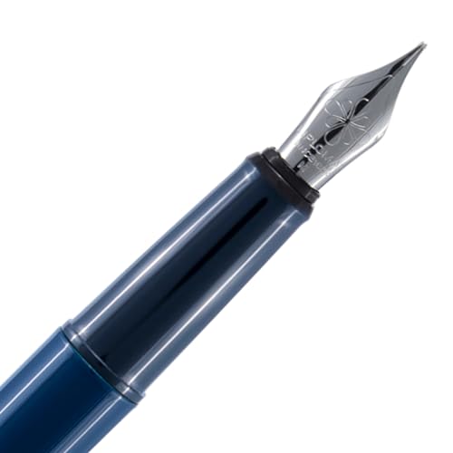 Stylo plume Diplomat Esteem D40606025 attributs chromés écriture fluide pointe M