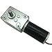 BRINGSMART 12V 16rpm DC Worm Gear Motor 70kg.cm High Torque Turbine Electric Gearbox Motor Self-locking Reversed Mini Engine Geared Motor for DIY Robot Door Lock Curtain Machine (12V 16rpm)