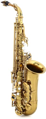 BetterSax Alto Saxophone - Professional-Grade Instrument with Dark Gold Lacquer Finish - Complete Kit for Beginners and Pros - Includes Mouthpiece