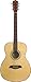 Oscar Schmidt OAN Acoustic Guitar - Natural