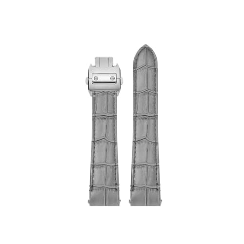 [-ł] JeBG TgX NCbN[X EHb`Xgbv ~fBAXgbv WSSA0010 v[U[EHb`oh YXgoh 19mm 21mm Ή(B gray-silver,19mm)