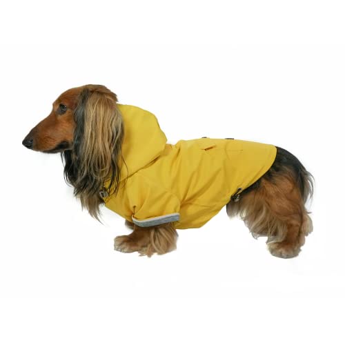 Django Highland Dog Jacket And Raincoat - Water-Repellent, Windproof, And Harness-Friendly Hooded Winter Dog Coat & Raincoat With Adjustable Drawstrings & Gunmetal Hardware (Medium, Dandelion Yellow) #TOP16