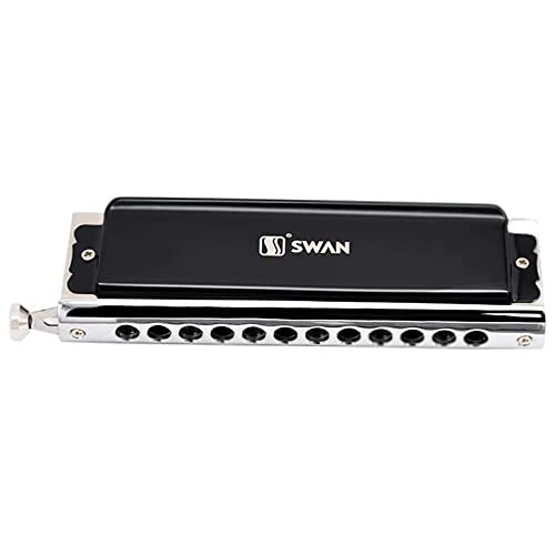 Harmonica Harmonica coloré 12 trous 48 touches d’orgue à bec C instrument professionnel phosphore bronze alliage anches - Les Beatles, Paul McCartney, John Lennon, RIngo Starr, George Harrison Harmonica Harmonica coloré 12 trous 48 touches d'orgue à bec C instrument professionnel phosphore bronze alliage anches – Image 6