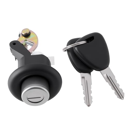 Briny River Cerradura de Cilindro para Portón Trasero de Coche con Llaves 905020198R Compatible con Dacia Sendero 08-12