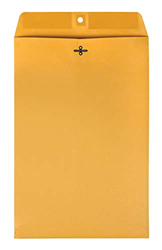 Envelopes de fecho de parque de qualidade, kraft marrom, 10 x 15 polegadas, caixa de 100 (37898)