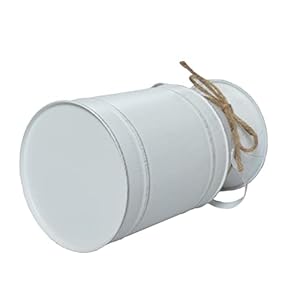 Rustic Shabby Chic Vase, White Small Vintage Metal Milk Can Vase Pitcher Wedding Decorative Flower Vase Farmhouse Home Decor Rustic Shabby Chic Vase White Small Vintage Metal Milk Can Vase Pitcher Wedding Decorative Flower Vase Farmhouse Home Decor