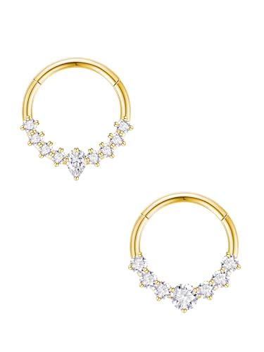 jagosen 2pcs Septum Rings 16G Daith Piercing Jewelry Hypoallergenic Stainless Steel Nose Rings Hoops Silver Gold Septum Clicker Jewelry 8mm 10 mm