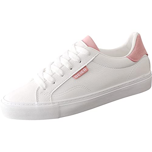 [cl] fB[X Xj[J[ [XAbv LoX ₷ JWAV[Y y  LoXV[Y (23.5sN)