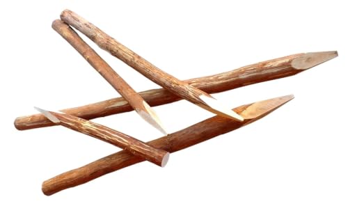 Poteaux en bois de noisetier contre le vent pour protéger la pousse de vos jeunes arbres
