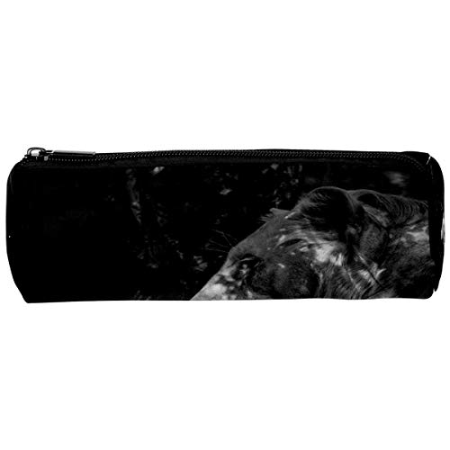 Preisvergleich Produktbild Federmäppchen, rund, Stifthalter, Aufbewahrungstasche, Schreibwaren-Tasche, kreatives Make-up-Tasche, Geschenk, Studenten, Zubehör für Schule, Arbeit, Büro, Löwe