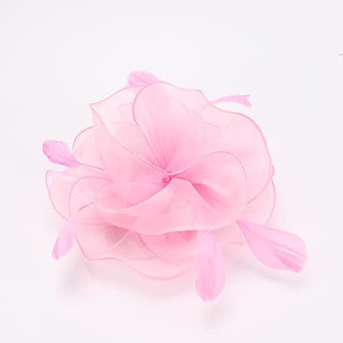Image of DRESHOW Fascinators Hat Feather Headband Women's Fascinators Tea Party Headwear with Clip Flower Head Band for Girls & Women