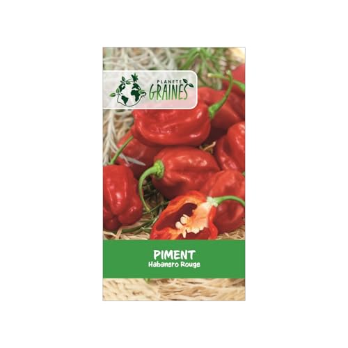 10 graines de piment habanero rouge -Capsicum -Habanero Red hot - Piment antillais rouge - un des piments les plus aiguisés