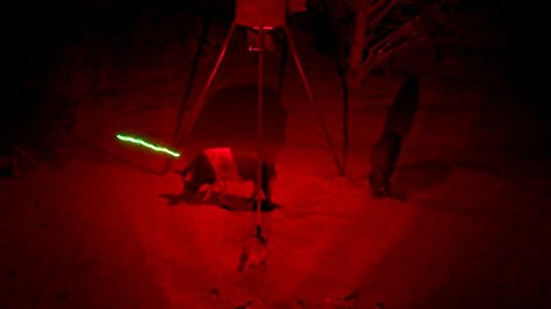 Elusive Wildlife Blind Sider X2 Motion Activated Feeder & Bait Light (Red) - Thumbnail 2