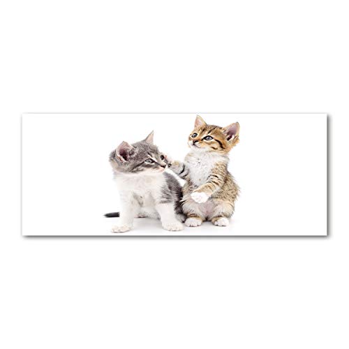 Crédence de cuisine 125x50cm verre trempé beige - Chats