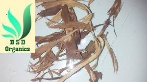 BSD Organics Natural Peepal Bark/Arasam Pattai/sacred fig for Decoction, Oral care, skin care and more -25 grams
