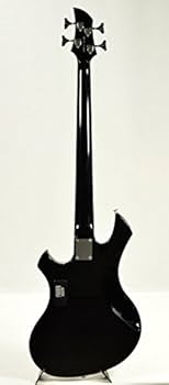 the GazettE REITA GrassRoots エレキベース ケース the GazettE REITA GrassRoots エレキベース ケース