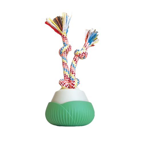 L lV 3iK[h ] L {[ 邮邨{[ ^@\t̔L炵 ϙ[v USB Type-C[d É ^sXgX LVїp ybgp (O[)