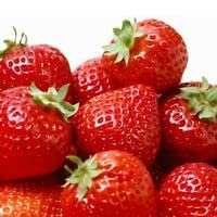 1000 Wild Strawberry Baron Solemacher Fruits Seeds.