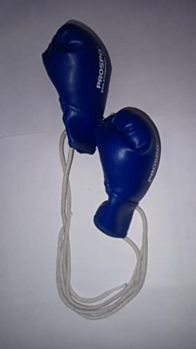 Image of PROSPO Boxing Glove Key Ring & Hanging Accessories