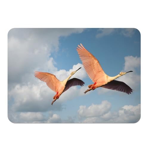 Sets de table anti-rayures dessous liège napperons souples lavables - 2