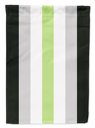Toile agender pride 2 côtés grand format drapeau multicolore polyester 28 x 40 n