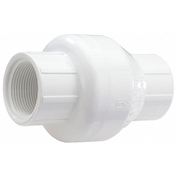 NDS Swing Check Valve,PVC,3/4