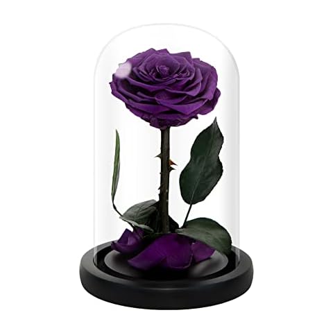NATROSES Mothers Day Flowers Purple Roses for Mom, Handmade Preserved Roses in Glass Dome, Long lasting Purple Roses Real, Glass Rose for Valentines Day, Christmas, Birthday, Anniversary, Thanksgiving Cover