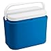 Tradineur - Nevera portátil con asa, Polipropileno, Porta Alimentos y Bebidas para Playa, Acampada (Azul y Blanco, 10 litros, 25,5 x 32,5 x 20 cm)