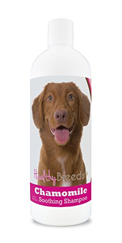Healthy Breeds Nova Scotia Duck Tolling Retriever Chamomile Soothing Dog Shampoo 8 oz
