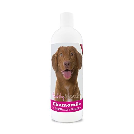 Healthy Breeds Nova Scotia Duck Tolling Retriever Chamomile Soothing Dog Shampoo 8 oz