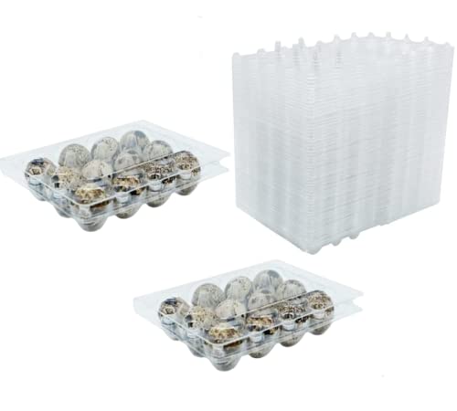 RECHCIGA Lot de 50 boîtes à œufs de caille en PVC transparent réutilisable avec couvercle pour œufs de caille, réfrigérateur