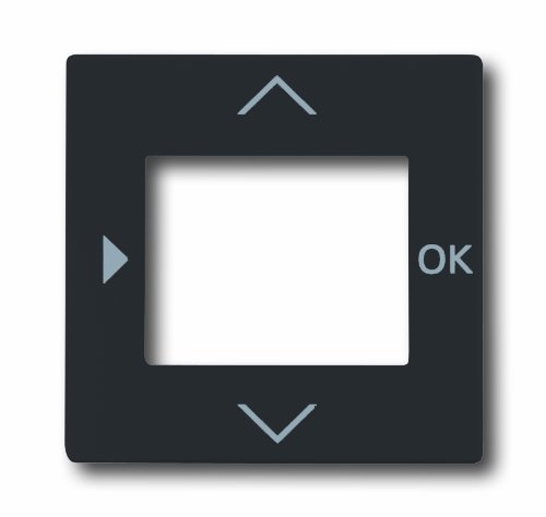 Preisvergleich Produktbild Busch-Jaeger BUSC Zentralscheibe 6435-81