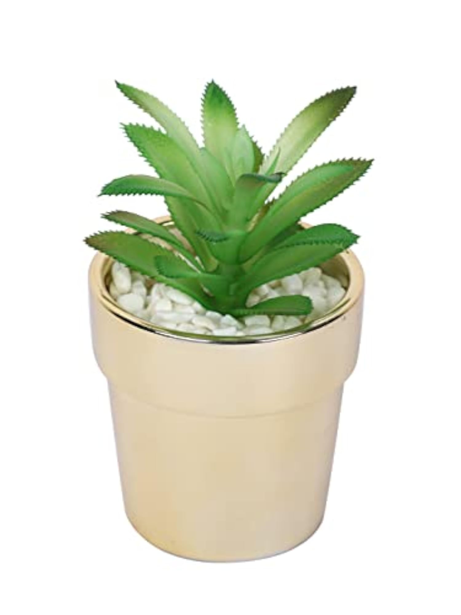 Artificial Succulent Plant with Golden Pot, Decorative Item