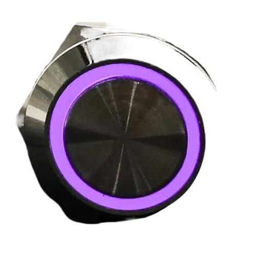 Interrupteur à bouton en métal 19mm étanche 6V violet autobloquant pour panneau électricien