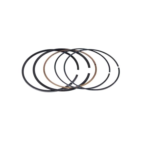 �o�C�N�p�[�c �T�C�Y 77mm-78mm STD-100 �s�X�g�������O YZ250F YZ250 WR250F WR250 F 5NL-11631-20-00(78mm Rings)