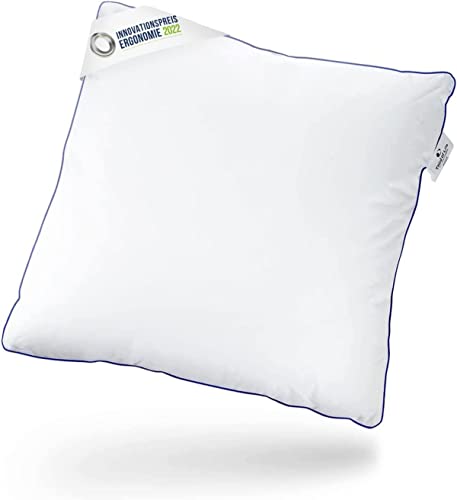 Oreiller 60x60 inSPIRO | Oreiller à Fibre Creuse pour Dormir sur Le Dos, Le côté ou Le Ventre | Coussin moelleux et léger | Soutien Optimal | Lavable en Machine | Coussin 60 x 60 | Sensation d'hôtel Cover