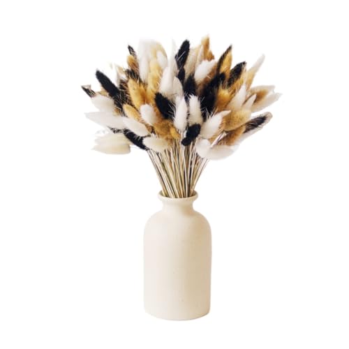 Ramo de 60 piezas de pasto pampas seco para decoración miniatura 1