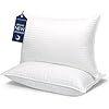 COZSINOOR Bed Pillows for Sleeping Queen Size 2 Pack - Hotel Quality Cooling Down Alternative Microfiber Filled for Side, Back and Stomach Sleepers, Breathable Skin-Friendly