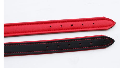 Activity4Dogs Luxus Hundehalsband aus Leder | für (mittel) große Hunde | 2,5 cm breit | gepolstert | 5-Fach verstellbar | Made in Germany | Echt-Leder Größe M1 schwarz-rot