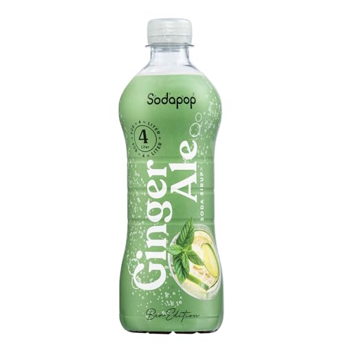 Sodapop Sirup Ginger Ale, Bar Edition, schnell & einfach zubereitet, 1 Flasche ergibt 4 L Fertiggetränk, 500 ml
