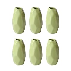 Bgz-green-6pc