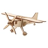 Toyvian Holzflugzeug Bastelset Mini Puzzle Bausatz zum Bemalen Retro Flugzeug Modell aus Holz für Schulprojekte Auto Armaturenbrett Dekoration Lernspielzeug mit Sicherer Montage