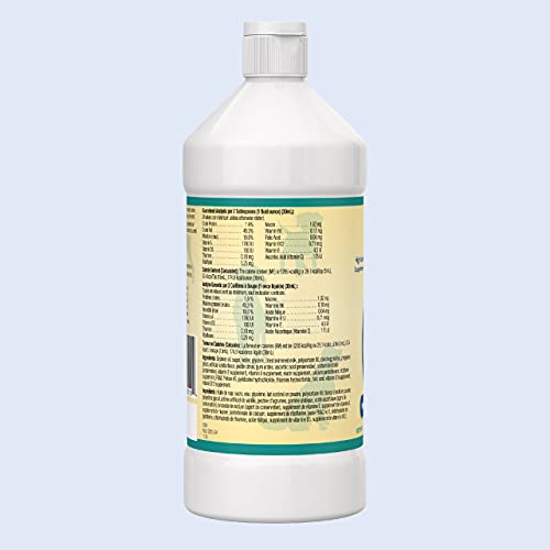 Petag Dyne High Calorie Liquid Nutritional Supplement For Dogs And Puppies - With Multivitamins For Recovery And Nursing - Vanilla Flavor - 2 Pack Of 16 Fl Oz Bottles #TOP1