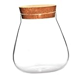 MOBUTOFU Vase Transparent pour Micro Terrarium Bocal Décoratif à Plantes Et DIY Décorat...