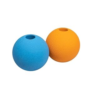 Amazon Basics Dog Toys, Interactive Fetch Rubber Balls, (Pack of 2), 3 inch, Multi-Color Blue/Orange